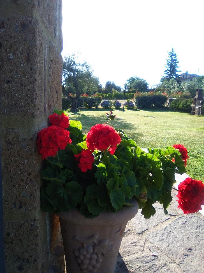 Agriturismo San Giacomo بيتيجليانو المظهر الخارجي الصورة