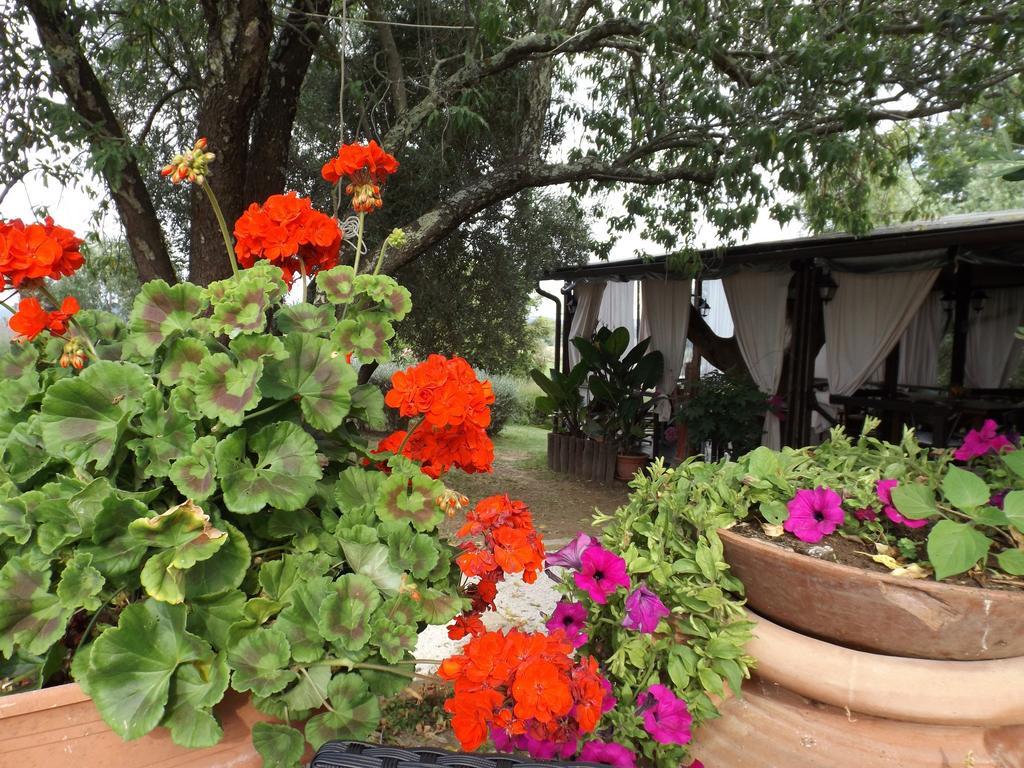Agriturismo San Giacomo بيتيجليانو الغرفة الصورة